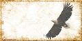 eagl